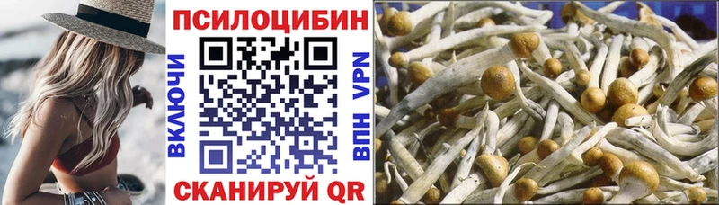 Галлюциногенные грибы Psilocybine cubensis  Карабаш 